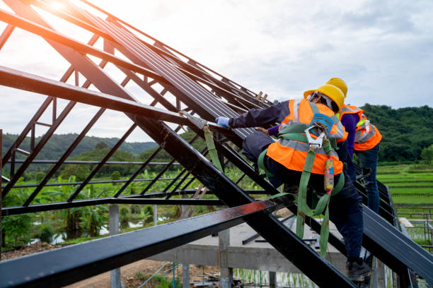 Best Gutter Installation and Roofing  in Cheval, FL