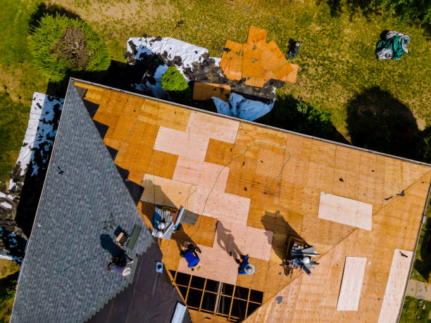 Best Roof Replacement Cost  in Cheval, FL