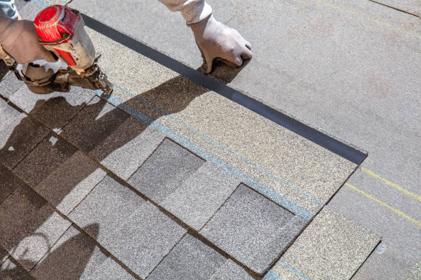 Best Local Roofing Companies  in Cheval, FL