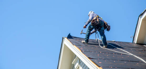 Quick and Trustworthy Emergency Roof Repair Services in Cheval, FL